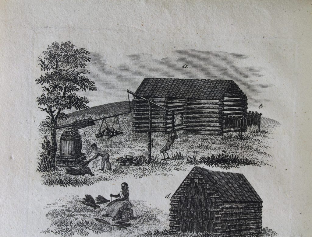 a woodcut image of enslaved men processing tobacco for shipment.