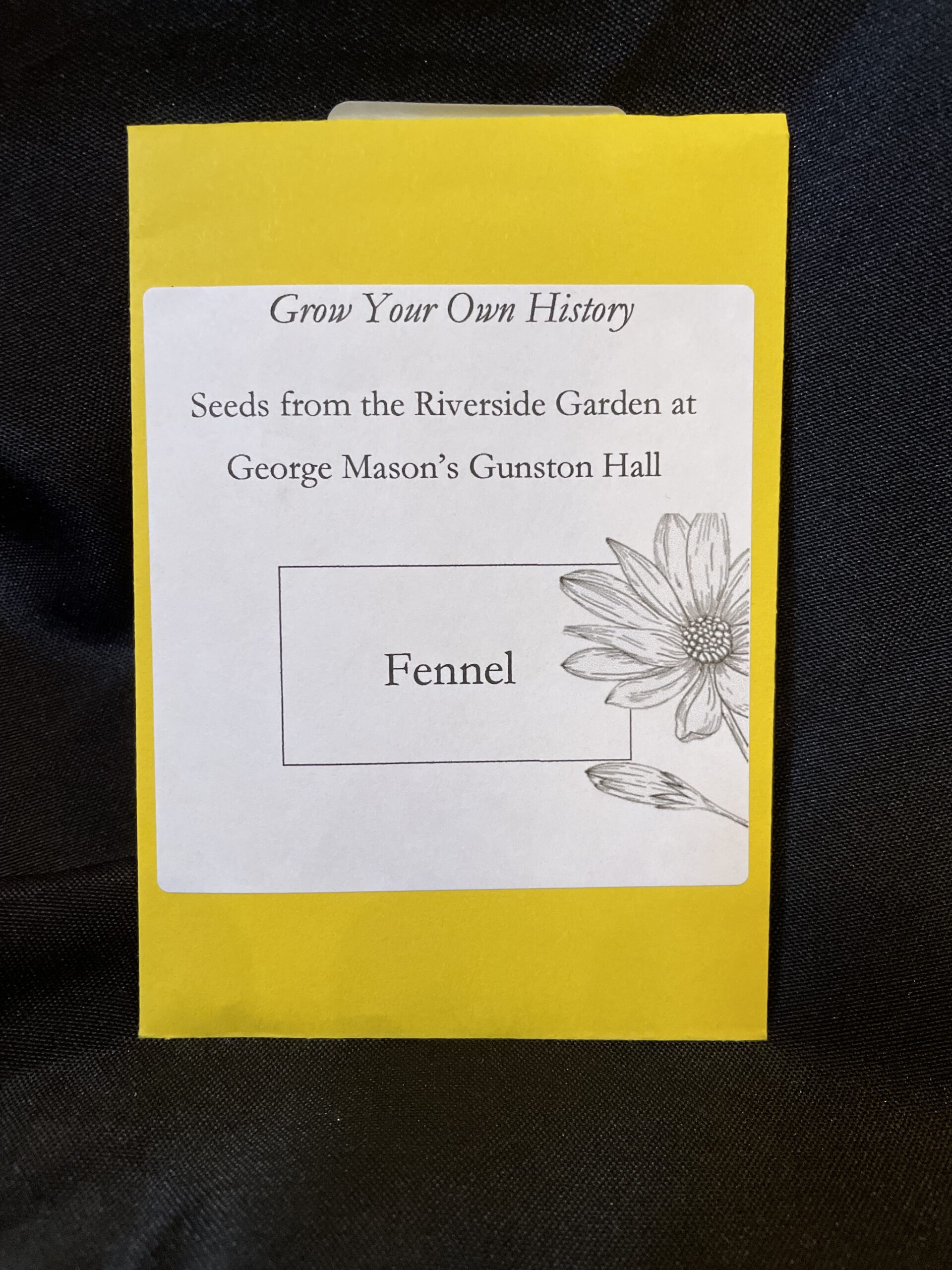 2024 Riverside Garden Seeds - Fennel - George Mason's Gunston Hall